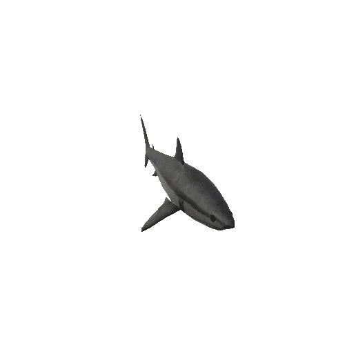 mako shark